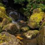 Flüsterleise Oasen im Garten: Kreative Fels-Wasserfälle mit leiser Pumpe, die entspannen und begeistern
