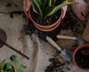 Dein erster Balkongarten: Schritt für Schritt zur blühenden Oase über den Dächern