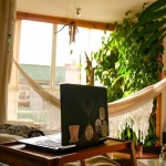 Boho-Flow im Wohnzimmer: Mit Textilien und Pflanzen zur natürlichen Wohlfühl-Oase