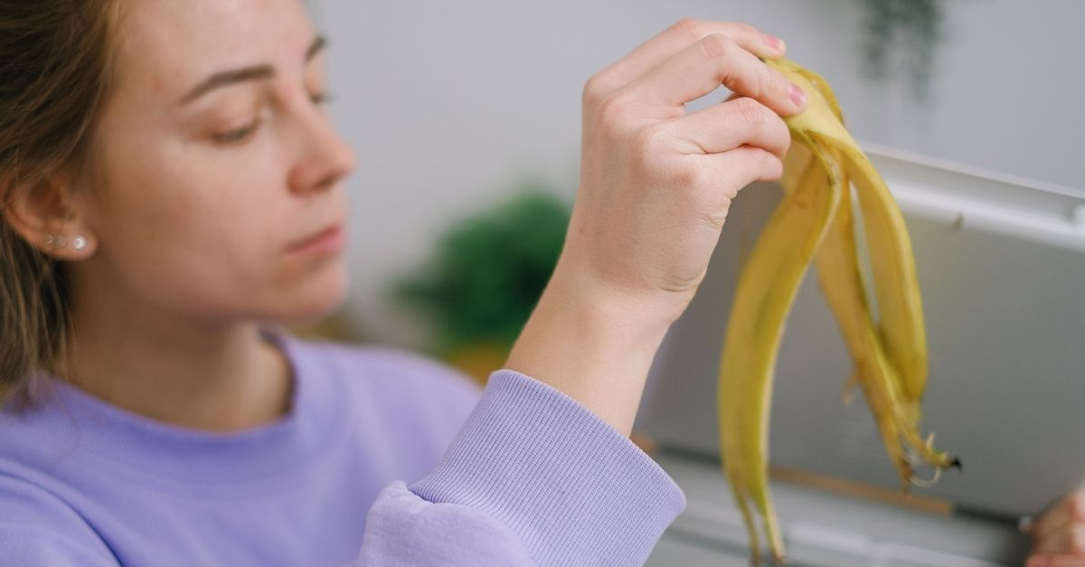 Vom Bioabfall zur Gartenpower in Rekordzeit: Turbo-Kompost aus Küchenresten