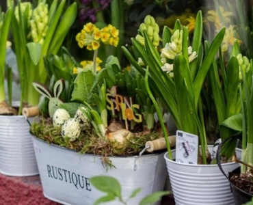 Frühlingszauber auf kleinem Raum: So verwandelst du deinen Balkon mit bunten Blumen – Schritt für Schritt