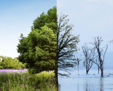 So wird dein Garten fit für Starkregen und Trockenheit